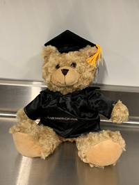 Graduation Bear - Brown