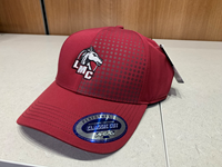 LMC ATHLETIC HAT