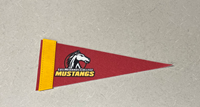 Los Medanos College Pennant