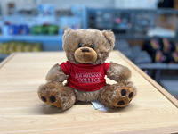 LMC Teddy Bear in Cardinal Tee