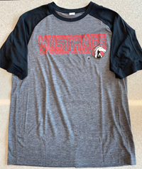 Tri-Blend Wicking Raglan